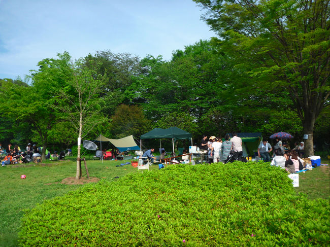 5月3日(月)<br />朝、眠い目をこすりながら、9時に妻の実家を出る。<br />ラッシュにはギリギリ合わず、11時過ぎに岩槻の出口を出る。<br />それにしても高速1000円(加須からプラス500円)は安い。<br />普通に払ったら4800円もするのに、、。<br />岩槻から2号線で大宮駅脇を通り、<br />高校時代の友達達と2日続けてのバーベキューの為に<br />富士見市せせらぎ菖蒲園(山崎公園)に行く。<br />http://sk-gtr.com/herb/saitama/seseragi/seseragi.html<br />近くのローソンで酒を買い、12時過ぎに合流。<br />大にょのお母さんが2日前に亡くなり、皆で黙祷をする。<br />憲ちゃんの誕生日でダッチオーブンで焼いた『チョコケーキ』が着くとすぐに<br />出てきた。2日続けてのバーベキューなのであまり食が進まず、ひたすら酒を飲む。<br />凄く暑い日で日焼けした。恒例の『流しそうめん』で子供達は大はしゃぎ。<br />1年に一度する本気のキャッチボールを憲ちゃん、勝、息子とする。<br />息子は憲ちゃん、勝にラグビーを教えてもらって楽しそうだった。<br />憲ちゃんの家に行き、また飲む。<br />10時頃、妻に運転してもらって帰る。<br />関越は混んでいたので254で帰った。<br /><br />福島・岩手・埼玉と充実したゴールデンウィークだったが、さすがに<br />疲れた。