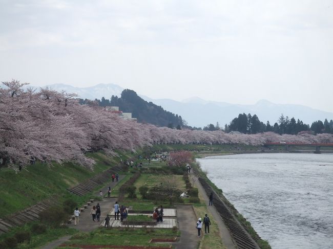 この春から不肖服務員秋田に居住中。<br />秋田での初ゴールデンウィークは桜を堪能してきました。