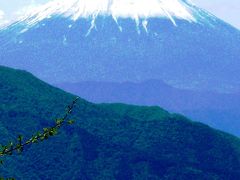 北杜-7　美し森で仰ぐ富士山*端正で気高く　☆眺望はベスト！