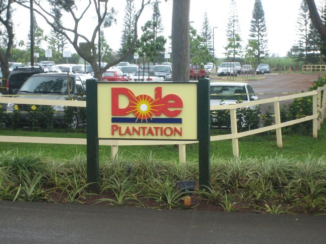 ハワイ特産　【Dole Plantation】