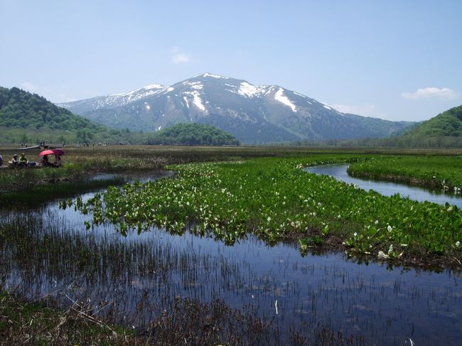 日帰りで尾瀬に行ってきました＾＾<br />新幹線で上毛高原へ行き、バスで鳩待峠へ（約２時間）<br />鳩待峠から約５時間のハイキング～<br /><br />天候にも恵まれ、綺麗な景色を見る事が出来ました♪<br />水芭蕉がもっと咲いていれば…<br /><br />昨年行った、沼山峠のコースよりはラクチンだったかな？<br />でも日頃、運動をしないので、最後は息が乱れてました。。。