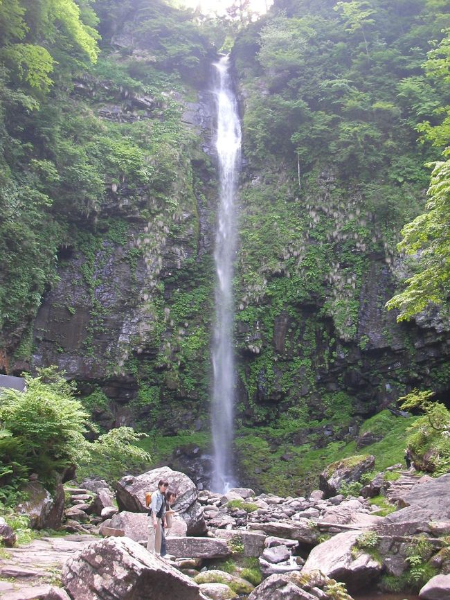 またまた、日帰りで岐阜県の新緑を愛でに行ってきました。<br /><br />この辺り大好きです。<br /><br /><br />阿弥陀ヶ滝は、郡上民謡にも歌われる、名所中の名所！<br /><br />動画です。<br />http://www.youtube.com/watch?v=cU1avLKTchw