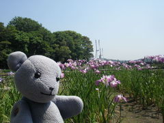 常盤公園を遊ぶ　その１～花と鳥と魚編～