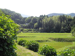 かながわの古道ウォーキング（日陰道・日向薬師）