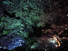 千鳥ヶ淵の夜桜。毎年変わる(ように感じる)ライトアップの妙を四年分まとめてみた。