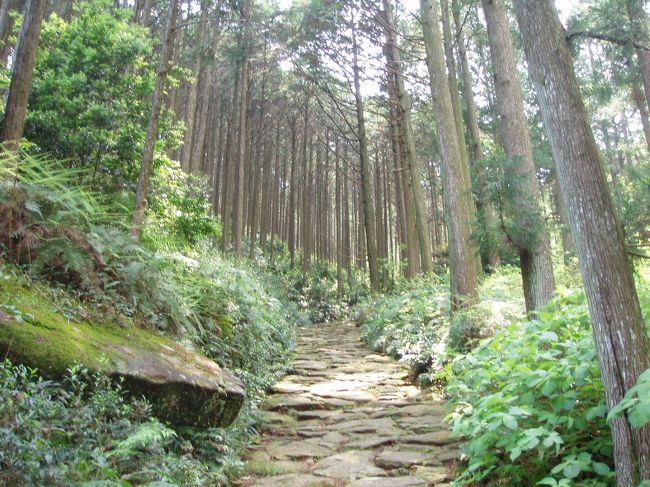 2007年のGW後半は世界遺産の熊野古道に行きました。伊勢路、中辺路の古道は趣深く、また熊野三大大社、那智の滝、勝浦の海と素晴らしい寺院と自然を堪能しました。<br /><br />旅行の最初の訪問地は古道の伊勢路・馬越峠コースです。美しい石畳と尾鷲ヒノキは大変趣のある古道でした。