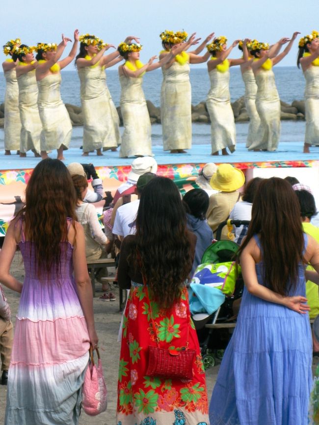 「シーフェスタ2010 in Kamogawa 」<br />ヤシの木が立ち並ぶ南国ムード満点の海岸線は、まさに日本のハワイ。美しい海を背景にした砂浜ステージでは、各地から集まったフラダンサーがハワイの風を呼び込みます。ビーチスポーツや自然の中での体験コーナーや地域の特産品を取り揃えたエリアなど、参加した全ての人が楽しんでいただける様な内容が盛りだくさんです。毎年好評のハワイアンウェディングも開催!! 　夏の到来を告げるイベント「シーフェスタ」にて、鴨川の魅力を多くの方にお伝えいたします。(下記より引用)<br /><br />シーフェスタ　in Kamogawa　については・・<br />http://www.city.kamogawa.lg.jp/JP/0006/index.html<br /><br />鴨川市の観光については・・<br />http://www.resort-kamogawa.net/<br />http://www.city.kamogawa.lg.jp/JP/0006/index.html<br />http://www.resort-kamogawa.net/index2.html<br /><br />フラ（ハワイ語: hula）はハワイの伝統的な歌舞音曲である。フラにはダンス、演奏、詠唱、歌唱の全てが含まれる。カヒコと呼ばれる古典的なスタイル（古典フラ）と、アウアナと呼ばれる現代的なスタイル（現代フラ）がある。フラは総合芸術であると同時に宗教的な行為でもあり、日本の能楽と同様、単なるダンスや音楽の概念では捉えられないものである。<br />フラを学ぶための教室をハラウ、フラの教師をクムと呼ぶ。「フラ」の意味がダンスであることから、専門家の間では「フラ」と呼ぶが、世界的にも、一般には英語の一般名詞ダンス(dance)を補い、フラダンスと紹介される。<br />（フリー百科事典『ウィキペディア（Wikipedia）』より引用）<br />