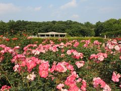 神代植物公園のバラと深大寺