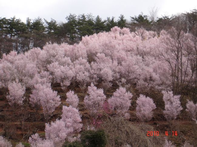 磐梯に泊まりました。４月も半ばなのに朝起きたら外は雪景色・・白一色・・びっくり！！<br />お花見に来たのに…