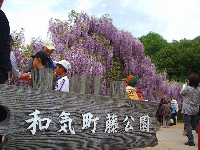 晴れの国・岡山花の旅!(和気のふじ園)<br /><br /><藤公園の概要> <br /> 約7,000?の敷地に、幅7m、総延長500mの藤棚<br /> 北は函館の藤、南は鹿児島県坊津の藤と全国46都道府県の著名な藤を集めている(沖縄県は野生の藤が生息しない)。約100種類の紫、白、ピンクの花が咲き乱れる(種類の多さで日本一)。和気町で生まれた和気清麻呂の生誕1250年を記念して、昭和60年に藤公園が完成したそうです。<br />
