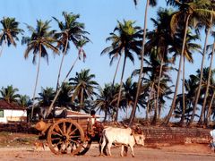 （ヒッピーの）世界3大聖地の一つ GOA（ゴア）の現在