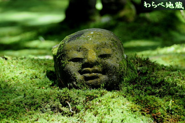 緑あふれる閑静な大原三千院