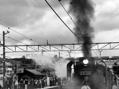 ＳＬの旅シリーズ第5回目,　山梨県甲府駅 - 小淵沢駅間を走る [SLやまなし  "D51 498号機"  」　と [DLやまなし　”DE10 形1698号機 "」