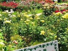 清水公園-4　花ファンタジア:バラ満開に　☆熱帯の花も咲く