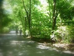 栃木旅行記　初夏の那須高原２　新緑の中を散歩