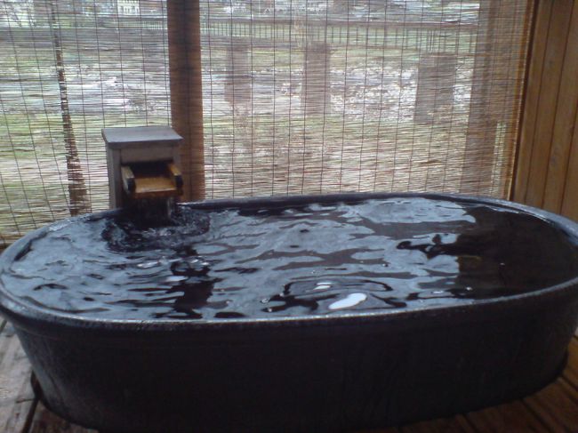 初めての下呂温泉はすぐ近くをJR高山線の列車が通る望川館にしました。<br />部屋の温泉に入りながら列車ウォッチングができます！<br />