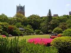 早稲田大學散歩 　学生食堂　大隈庭園　花　（上）