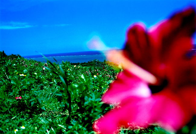 雨期の石垣島、竹富島、波照間島での旅写真と、思ったこと。<br />6日間の、ひとり旅の記録です。