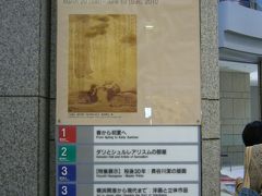 横浜美術館コレクション展では展示されている作品を発光させなければ撮影可能であった。