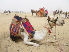 ☆エジプト＆トルコ　10日間①　～エジプト人は陽気♪　in カイロ＆ギザ☆