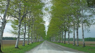 2010.6帯広出張旅行3-十勝牧場，ホテル日航，緑が丘公園