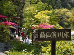 金沢・加賀のおいしいものを食べる旅（５）～新緑の鶴仙渓と山中温泉