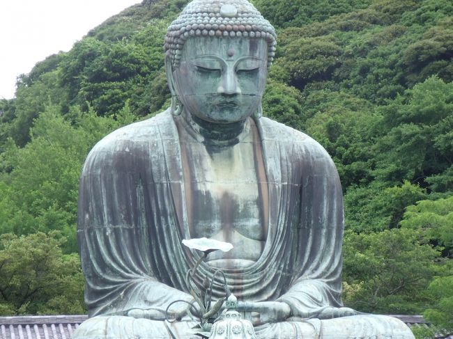 北海道出身の私にとって鎌倉は修学旅行や遠足では行くことの出来なかった憧れの場所♪時間作って弾丸ツアー♪♪<br /><br />どうしても行きたいのは大仏が有名な高徳院。<br /><br />名前しか知らないけども鶴岡八幡宮。<br /><br />お花が綺麗な長谷寺。<br /><br />時間さえあれば色々な寺社も行きたいんですけどね。<br /><br />でわでわ憧れの鎌倉にレッツGO!!
