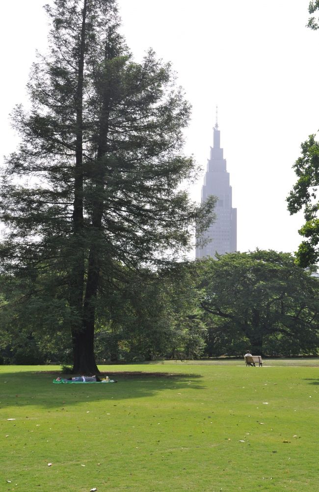 梅雨の晴れ間、夏を思わせる好天気の中、新宿御苑に季節の花を探しに出かけた。<br />新宿御苑は徳川家康の家臣・内藤氏の江戸屋敷の一部がルーツと云われている。<br />広さ18.5万坪、周囲3.5ｋｍで、日本庭園、フランス式整形庭園、イギリス風景式庭園がデザインされている。<br /><br />広大な芝生と樹木の緑がこころを和ませてくれます。