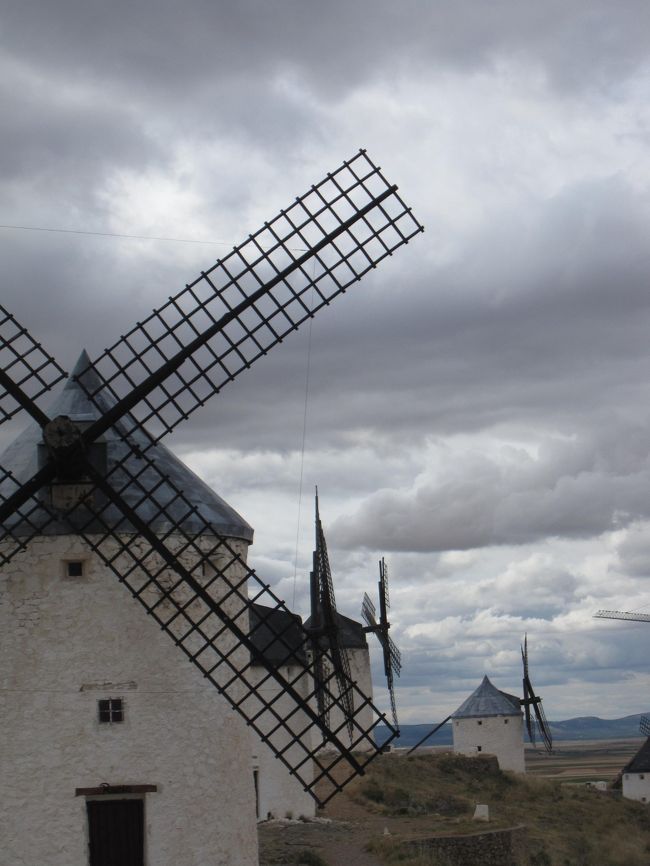 スペイン周遊の旅５日目です。<br /><br />本日も目的の１つメスキータ＆ユダヤ人街。<br />そしてラ･マンチャの風車見学と見所満載。<br /><br />ひまわり畑リベンジなるか！？