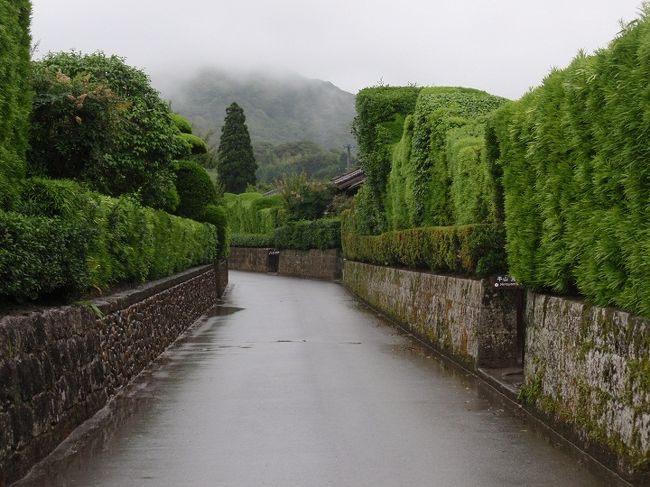 ほんとーーに久し振りに行ってきたのは、鹿児島県。<br /><br />映画ホタルで知った知覧町へのトラベルは初めて。<br /><br />雨上がりの６月で、観光客は極少でしたが、静かで美しい町を堪能でき心に残る風景でした。<br />イヌマキの生け垣が高くそびえた敷地内は洗練された庭園美の世界がひろがる。この武家屋敷の町並みが800ｍにわたって続く。<br />現在、７戸の武家屋敷庭園が一般公開されている。<br /><br />その後、指宿線の終点の駅、枕崎駅を訪問。枕崎からは、宿泊温泉地、指宿温泉に行き砂湯を味わいました。<br />