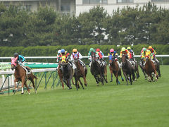 函館競馬場