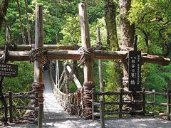 2010.6祖谷・鳴門旅行3-大歩危峡，かずら橋