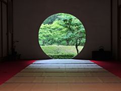 鎌倉小旅行 その１　紫陽花寺（明月院）にてのアジサイ観賞