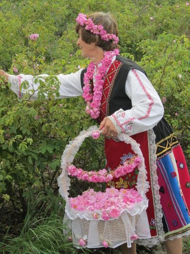 プロブディフからバスでカザンラクへ。<br /><br />カザンラクの町近くになると、桃色の旗が道に掲げてあり、バラ祭りが行われているのがわかります。<br /><br />色とりどりの衣装♪楽しいダンス♪心休まるバラの香り・・・<br /><br />かわいくて、すてきなお祭りでした。<br /><br /><br />日程はこちら↓<br />2010年6月3日 成田夜発でパリへ<br />2010年6月4日 パリ→ソフィア→プロブディフ<br />2010年6月5日 バチコヴォ僧院→カザンラク<br />2010年6月6日 カザンラクでバラ祭り<br />2010年6月7日 シプカ僧院→ガブロヴォ→トリャブナ<br />2010年6月8日 エタル博物館→ヴェリコタルノボ→アルバナシ<br />2010年6月9日 ヴェリコタルノボ→ソフィア<br />2010年6月10日 コプリフシティツア<br />2010年6月11日 リラの僧院<br />2010年6月12日 ソフィア→パリ→<br />2010年6月13日 成田着