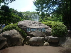 2010年06月　三島市の柿田川公園に行ってきました。