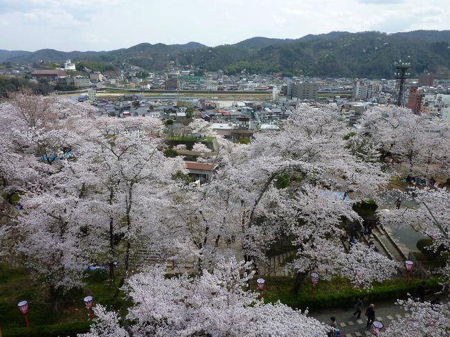 「青春18きっぷ」を使って、姫新線経由で津山にお花見に行ってきました。帰りに姫路に寄り、夜桜も見てきました。