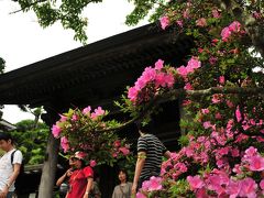 鎌倉　小トリップ　その３　極楽寺から成就院までの散歩道