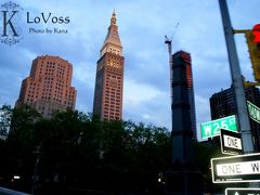 アメリカ　NY　vlo.1