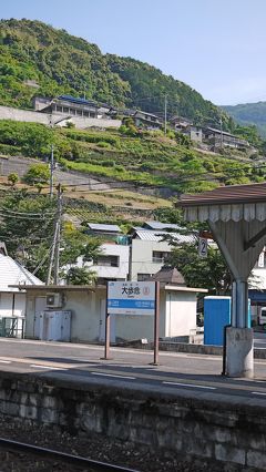 2010.6祖谷・鳴門旅行5-大歩危から阿波池田へ，キハ32の旅