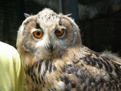 2010年6月北海道　その４　旭山動物園