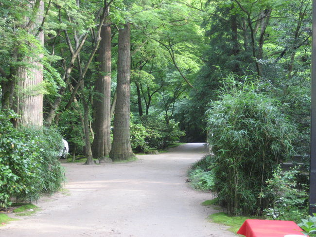 行く数日前までこの温泉の名前も知りませんでした。<br />たまたま下越方面へ泊まりがけで行くことになり「月岡温泉にでも泊まろうか」と思っていましたが、新潟在住の親戚から「近くに良い所がある」と強く勧められました。<br />地元の人の話は聞いてみるものだ、と痛感です。