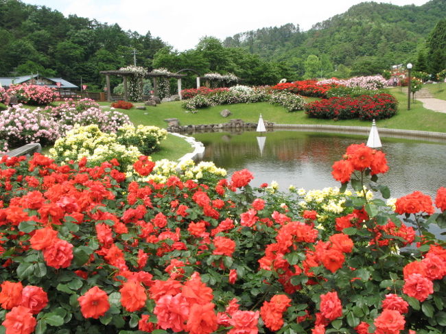山形県村山市東沢バラ園 村山 河北 山形県 の旅行記 ブログ By Nederlandさん フォートラベル