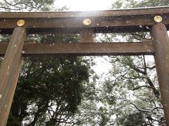 雪の明治神宮を散歩する。