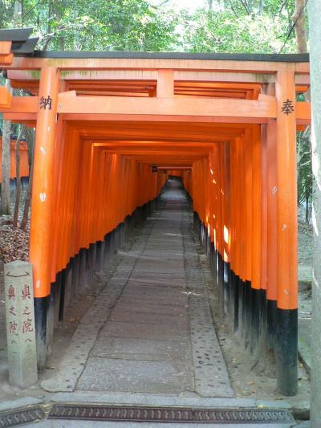 伏見稲荷大社（ふしみいなりたいしゃ）は全国約４万社の稲荷神社の総本宮で初詣時には毎年近畿地方最多の参拝者を集めることで知られている。<br />江戸時代から鳥居を奉納する習わしがあり、稲荷山には信者から奉納された約一万基の鳥居が並んでいる。千本鳥居と呼ばれる所は狭い間隔でたくさんの鳥居がびっしりと建てられ、映画、ドラマにもしばしば登場するロケの名所となっている。<br />（写真は千本鳥居の光景）<br />