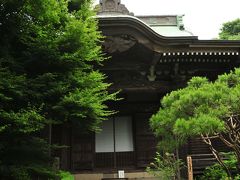 鎌倉　小トリップ　その５　美しい苔を撮りに妙法寺