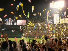 甲子園プロ野球観戦記