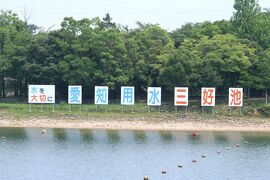 2010梅雨、三好公園の紫陽花(1/4)：三好池、紫陽花、額紫陽花、サンガイヤ