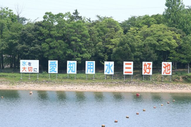 2010梅雨、三好公園の紫陽花(1/4)：三好池、紫陽花、額紫陽花、サンガイヤ