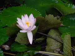 続　初バリ♪ウブド＆ヴィラ