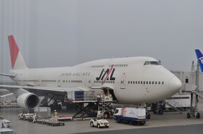 2010年2月にJALで韓国旅行したため、JALのマイレージが10,000マイル少し貯まりました。<br /> しかしながら、マイルの一部が失効してしまうため、国内線2区間でも乗ってこようかなと考えていたら、国際特典航空券ディスカウントマイルのお知らせが。何と韓国へ10,800マイルで行け、それも国内線乗り継ぎもマイル加算が不要というおいしいお話、こりゃ行かなきゃ損でしょう、ということでさっそく予約を入れてしまいました。(笑)<br /> 仕事の休みを最低限に、かつ韓国の鉄道には乗れるだけ乗りたい、2010年6月25日午後から27日までの2泊3日で出かけてきました。
